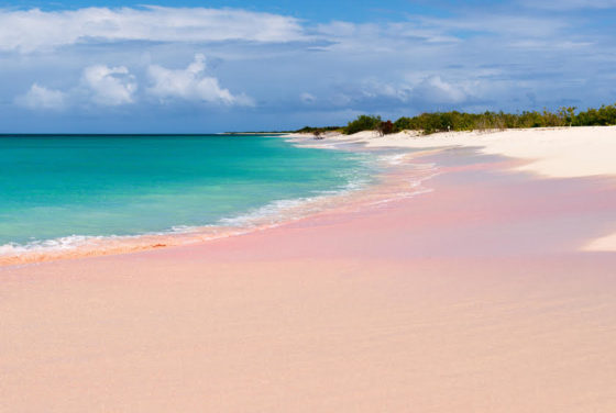 Antigua & Barbuda